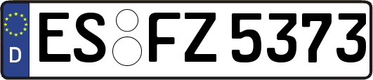 ES-FZ5373