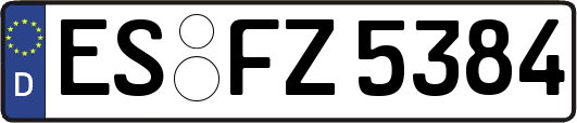 ES-FZ5384