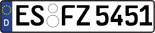 ES-FZ5451