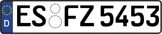 ES-FZ5453