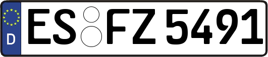ES-FZ5491