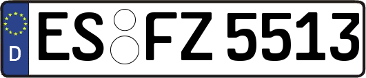ES-FZ5513