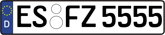 ES-FZ5555