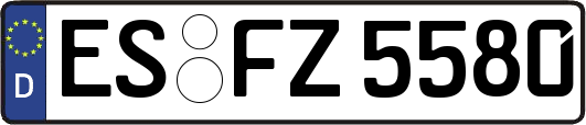 ES-FZ5580