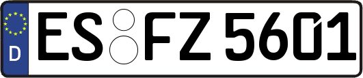ES-FZ5601