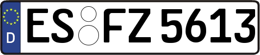 ES-FZ5613