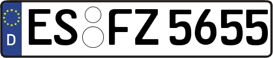 ES-FZ5655