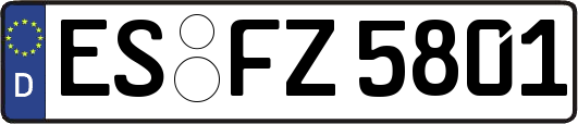 ES-FZ5801