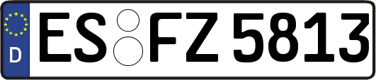 ES-FZ5813