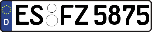 ES-FZ5875