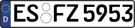 ES-FZ5953