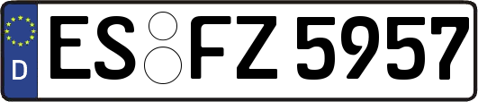 ES-FZ5957