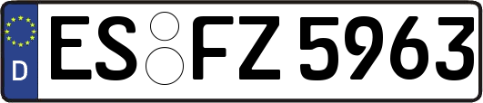 ES-FZ5963