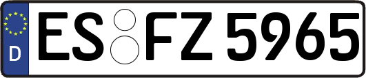ES-FZ5965