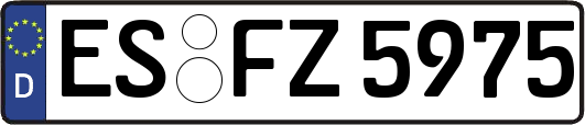 ES-FZ5975