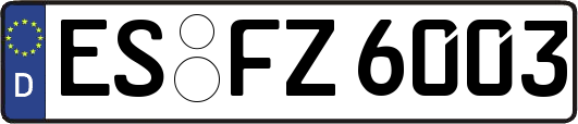 ES-FZ6003