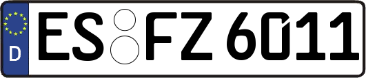 ES-FZ6011