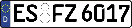 ES-FZ6017