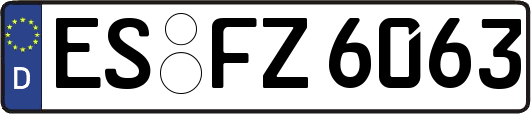 ES-FZ6063