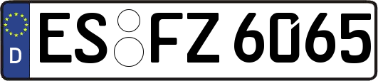 ES-FZ6065
