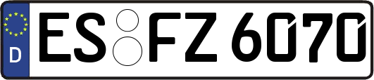 ES-FZ6070