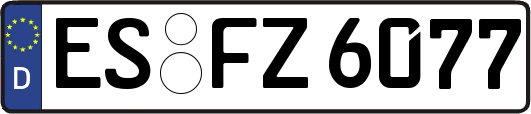 ES-FZ6077