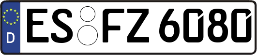 ES-FZ6080