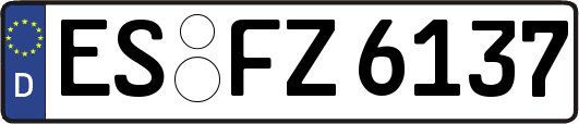 ES-FZ6137