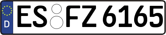 ES-FZ6165