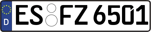ES-FZ6501