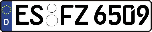 ES-FZ6509