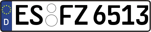 ES-FZ6513