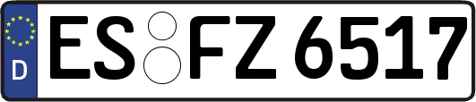 ES-FZ6517