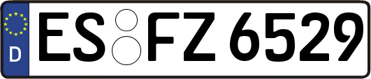 ES-FZ6529