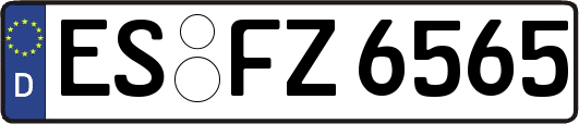 ES-FZ6565