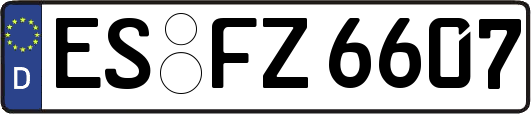 ES-FZ6607