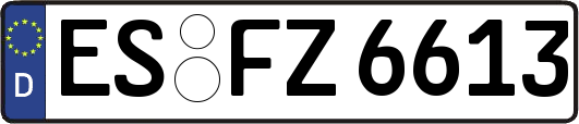 ES-FZ6613