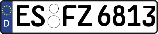 ES-FZ6813