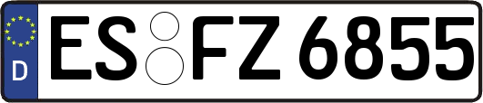ES-FZ6855