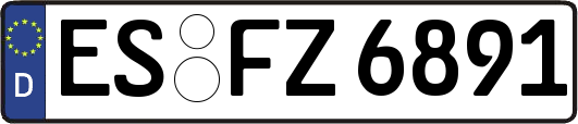 ES-FZ6891