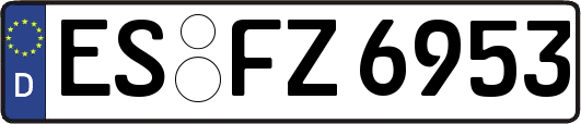 ES-FZ6953