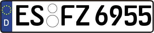 ES-FZ6955