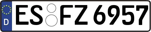 ES-FZ6957