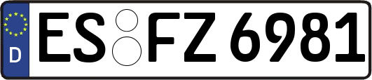 ES-FZ6981