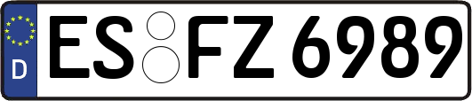 ES-FZ6989