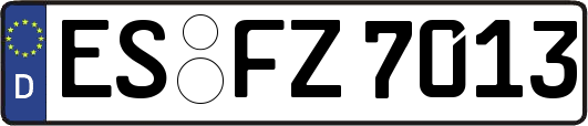 ES-FZ7013