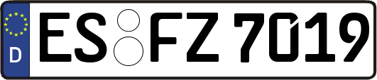 ES-FZ7019