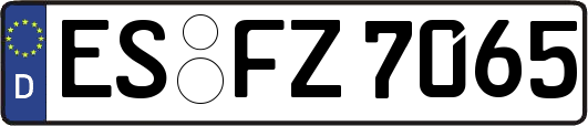 ES-FZ7065