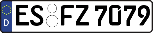 ES-FZ7079