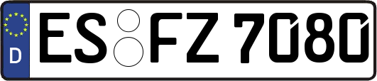 ES-FZ7080
